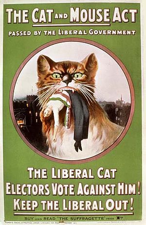 WSPU poster protesting against the 'Cat and Mouse' Act