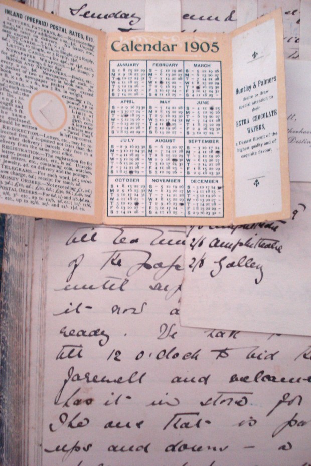 Kate's menstrual calendar